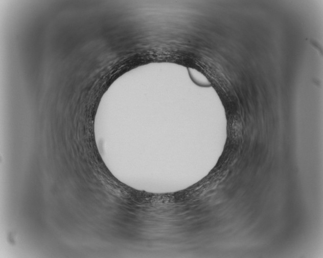 X0000094950865200712271655