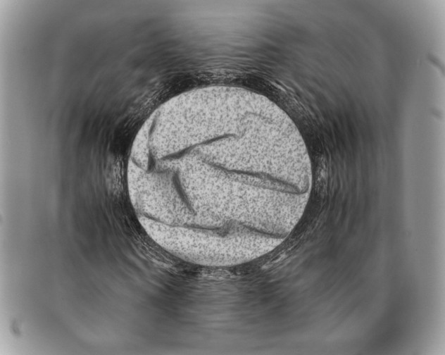 X0000094950866200712271655