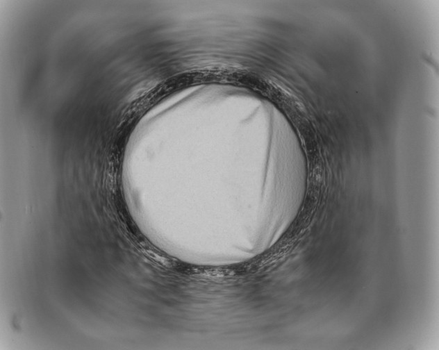 X0000094950869200712271655