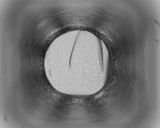 X0000094950870200712271655