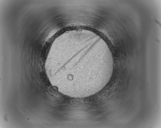 X0000094950871200712271655