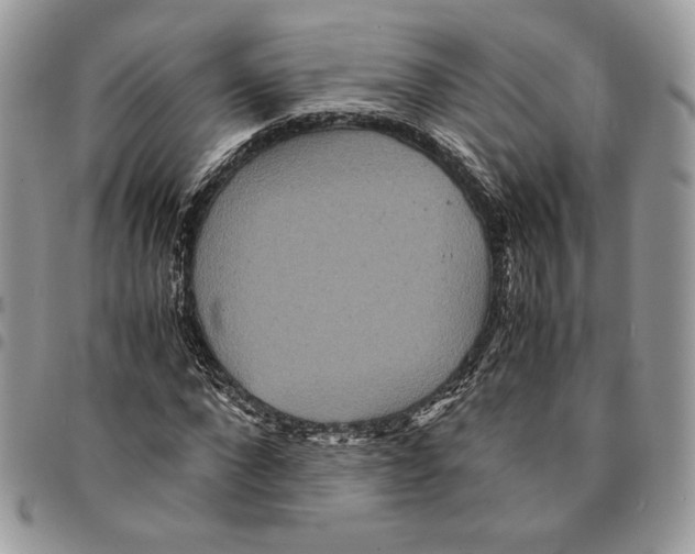 X0000094950872200712271655