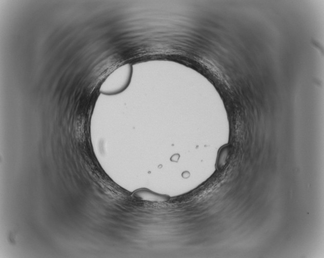 X0000094950873200712271655