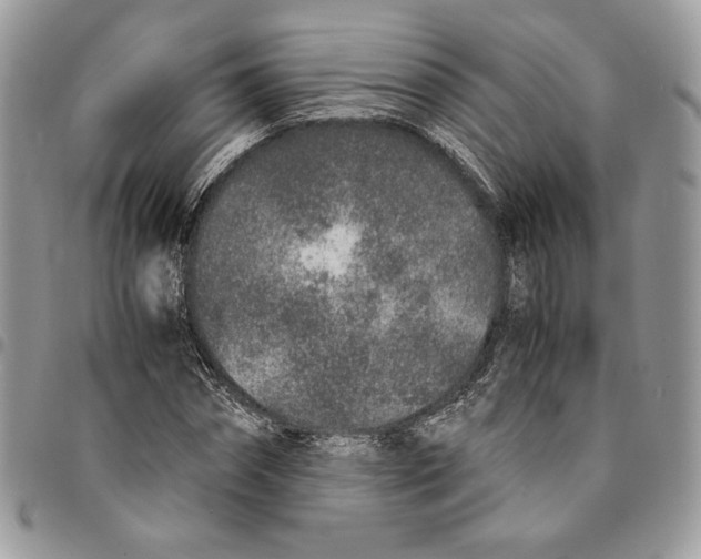 X0000094950874200712271655