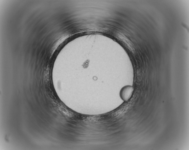 X0000094950875200712271655