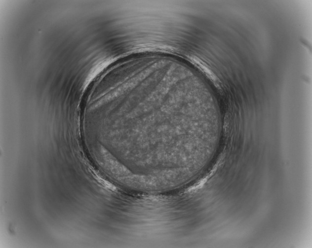 X0000094950877200712271655