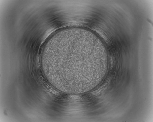 X0000094950878200712271655