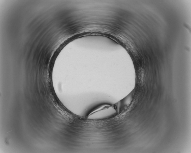 X0000094950880200712271655