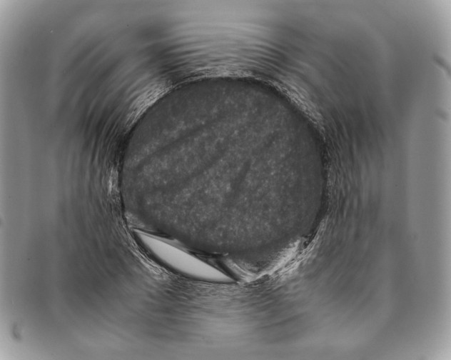 X0000094950881200712271655