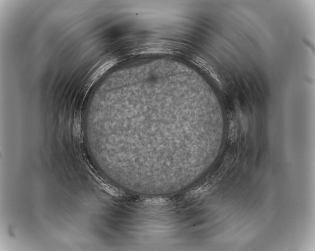 X0000094950882200712271655