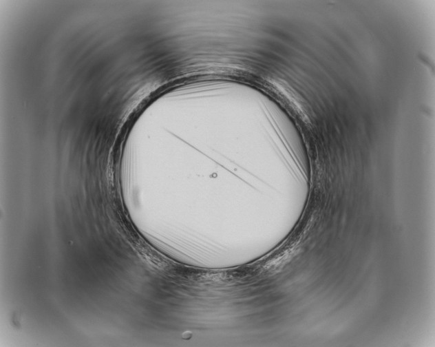 X0000094950883200712271655