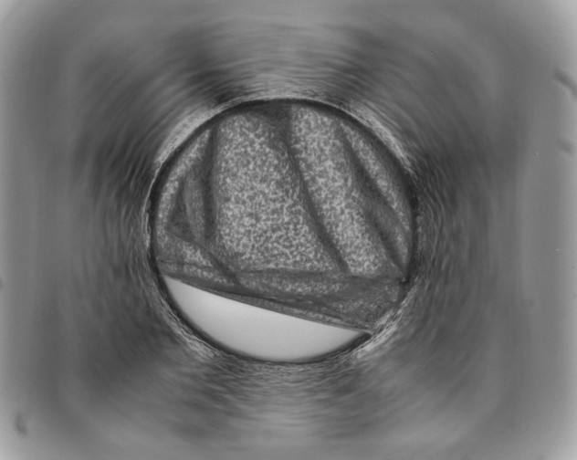 X0000094950885200712271655