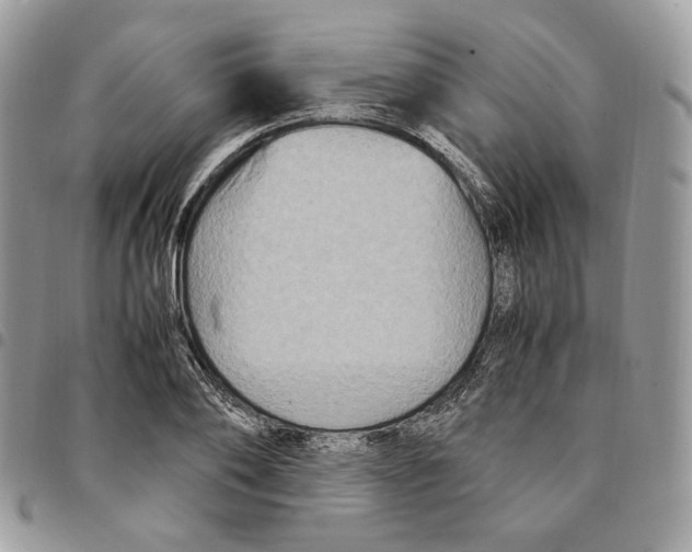 X0000094950886200712271655