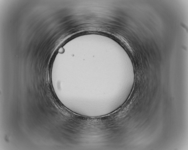 X0000094950887200712271655