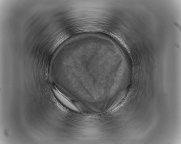 X0000094950889200712271655