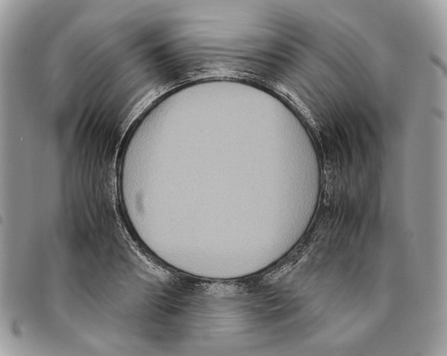 X0000094950890200712271655