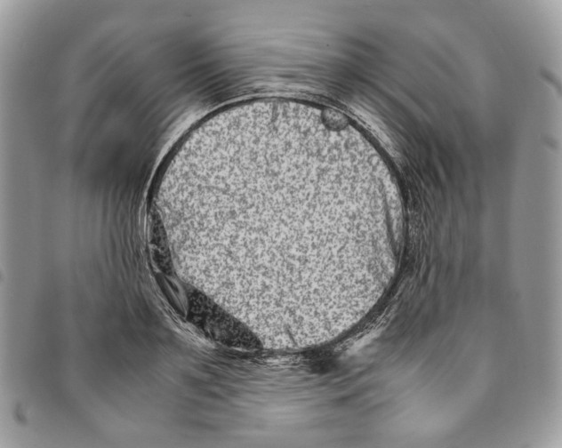 X0000094950891200712271655