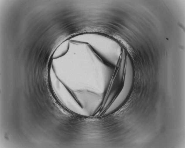 X0000094950894200712271655