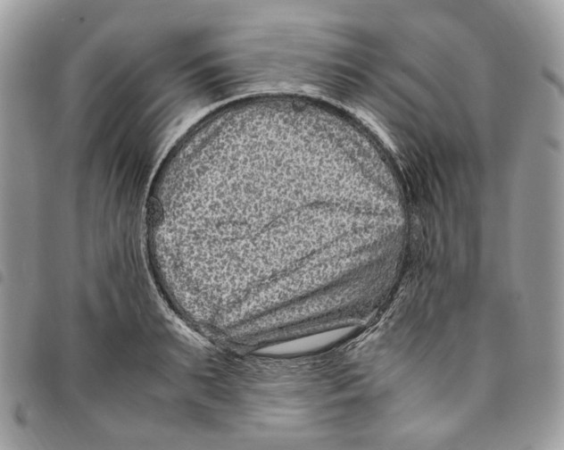 X0000094950895200712271655