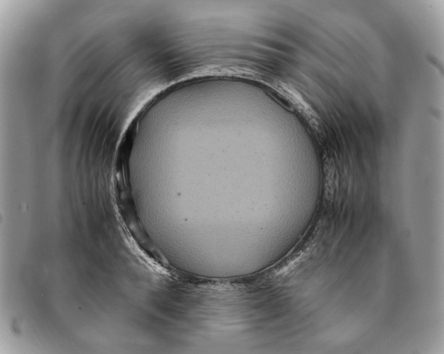 X0000094950896200712271655