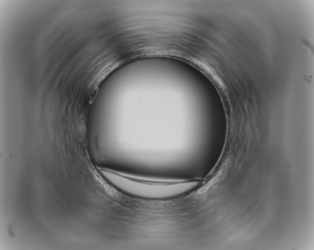 X0000094950897200712271655