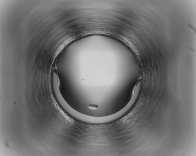 X0000094950898200712271655