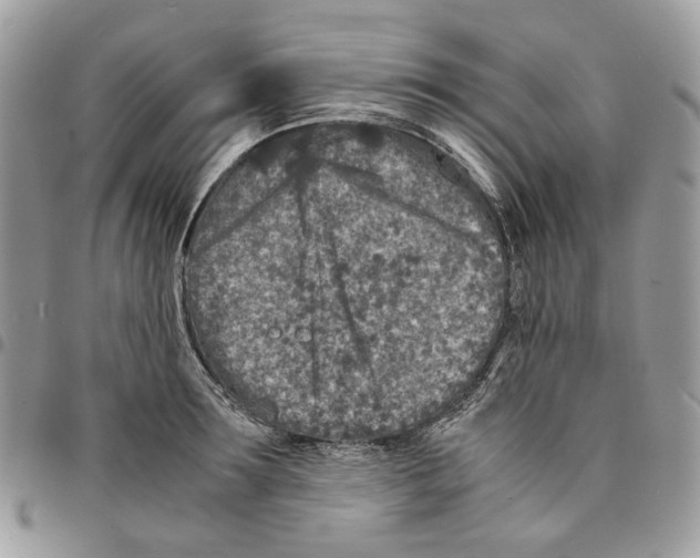 X0000094950899200712271655