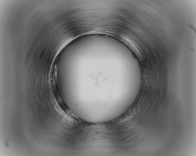 X0000094950900200712271655