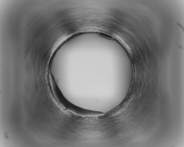 X0000094950901200712271655