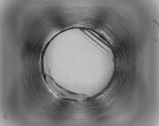 X0000094950902200712271655