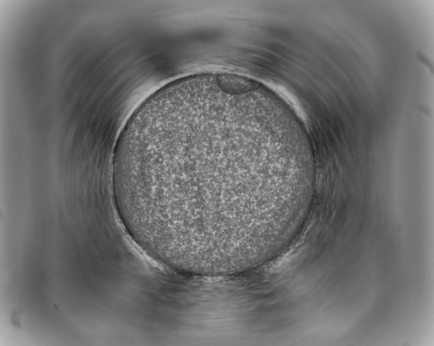 X0000094950903200712271655