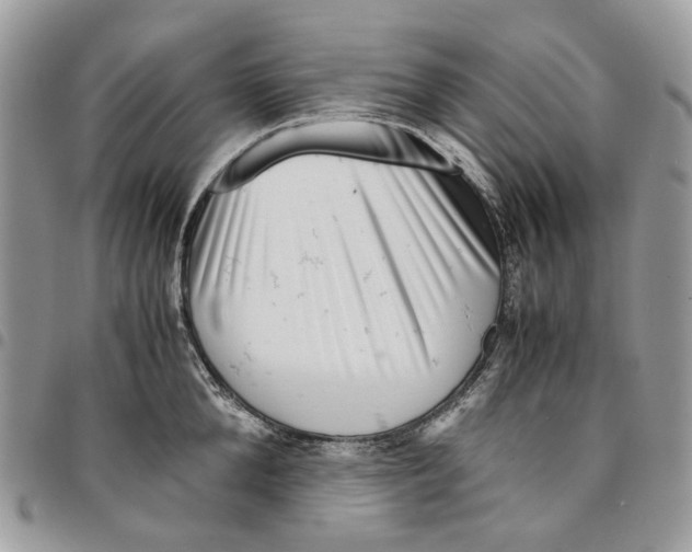 X0000094950904200712271655