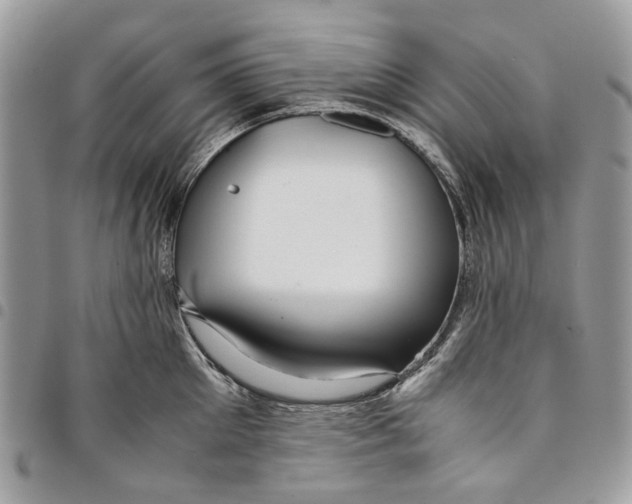 X0000094950905200712271655