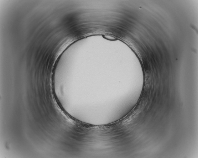 X0000094950906200712271655