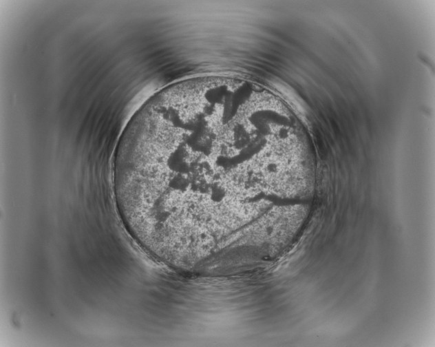 X0000094950907200712271655