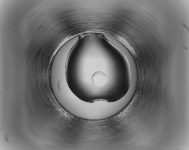 X0000094950908200712271654