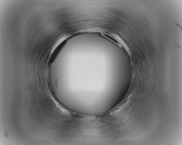 X0000094950909200712271654