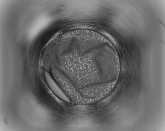 X0000094950910200712271654