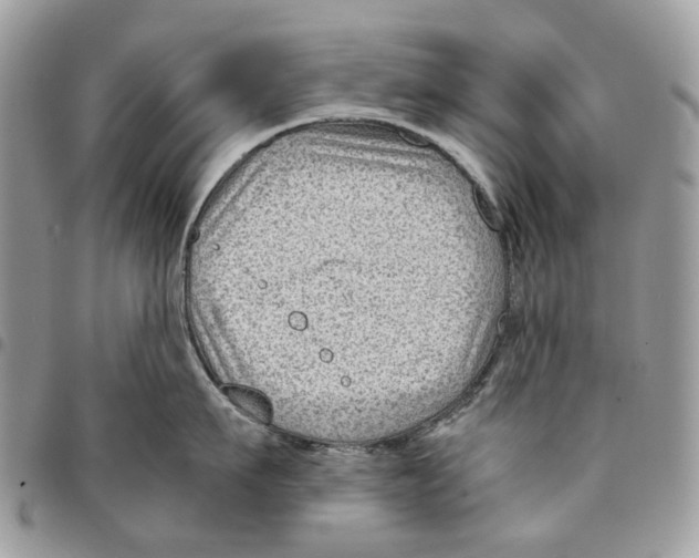 X0000094950911200712271654