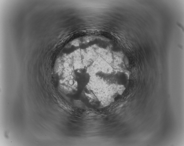 X0000094950913200712271654