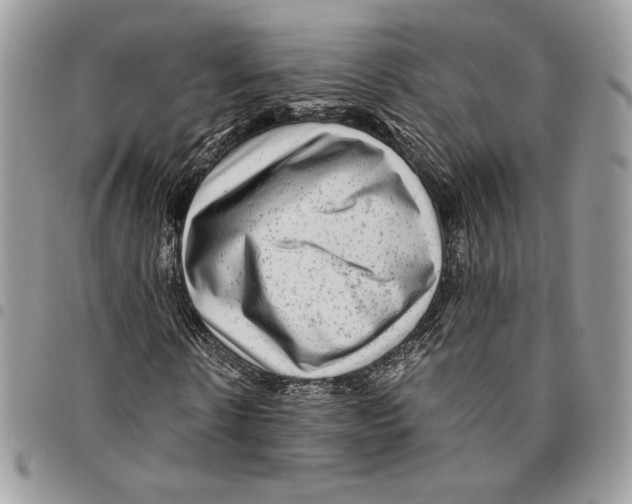 X0000094950914200712271654