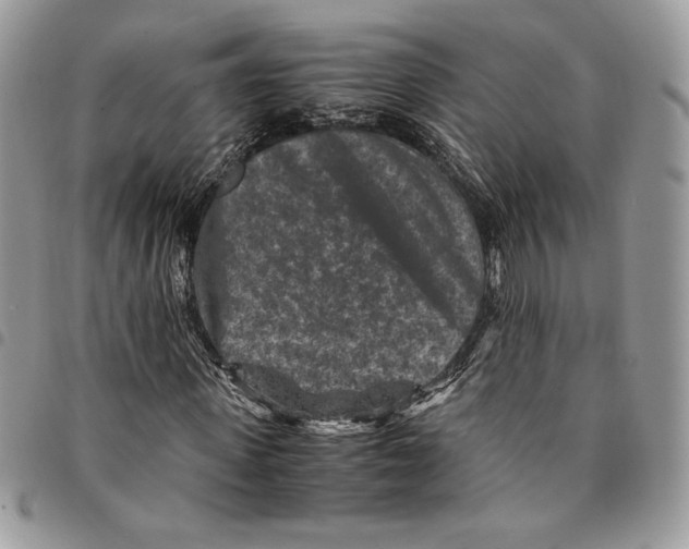 X0000094950915200712271654