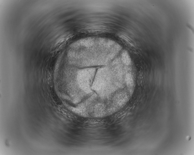 X0000094950917200712271654