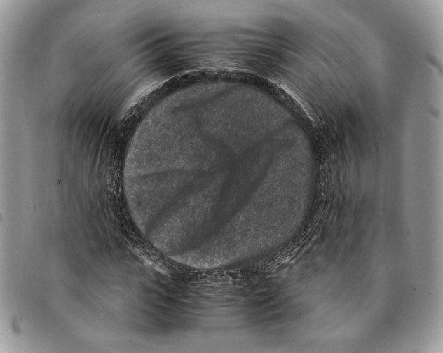 X0000094950919200712271654