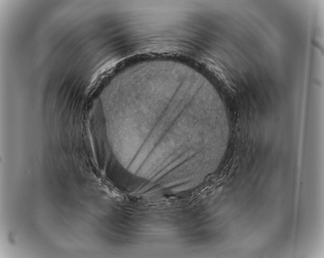 X0000094950920200712271654