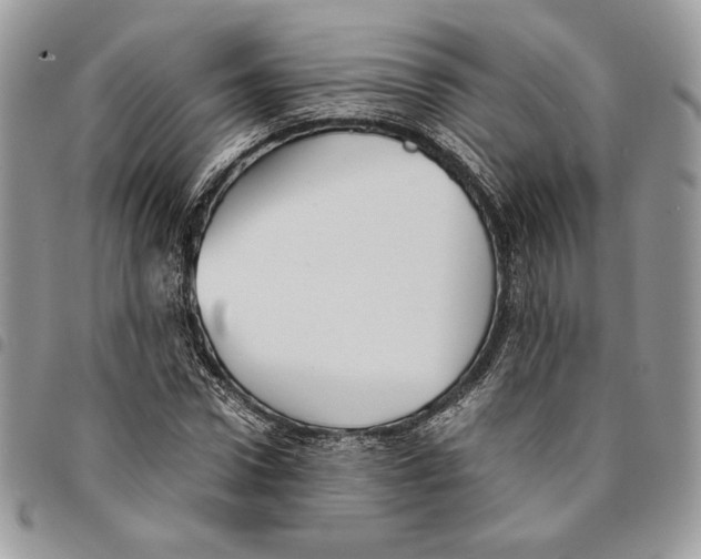 X0000094950922200712271654