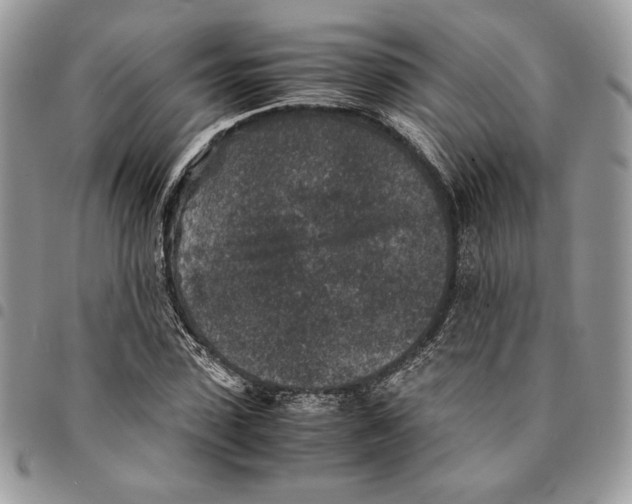 X0000094950923200712271654