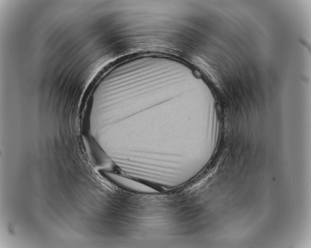 X0000094950924200712271654