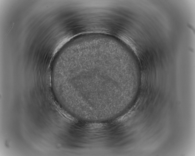 X0000094950925200712271654