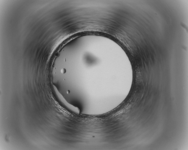 X0000094950926200712271654